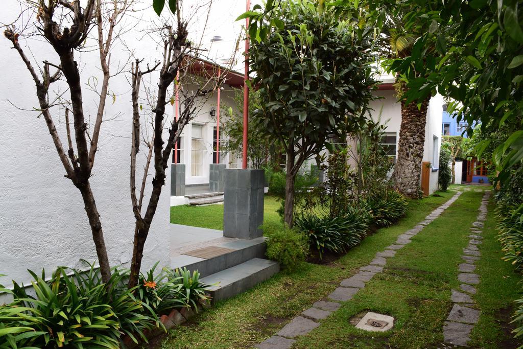 Hotel La Casa De Las Magnolias Coyoacan Exterior foto